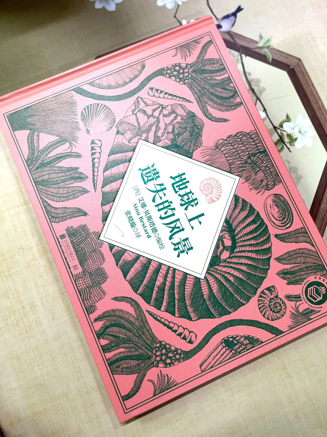 以最艺术手法，讲最硬核科普