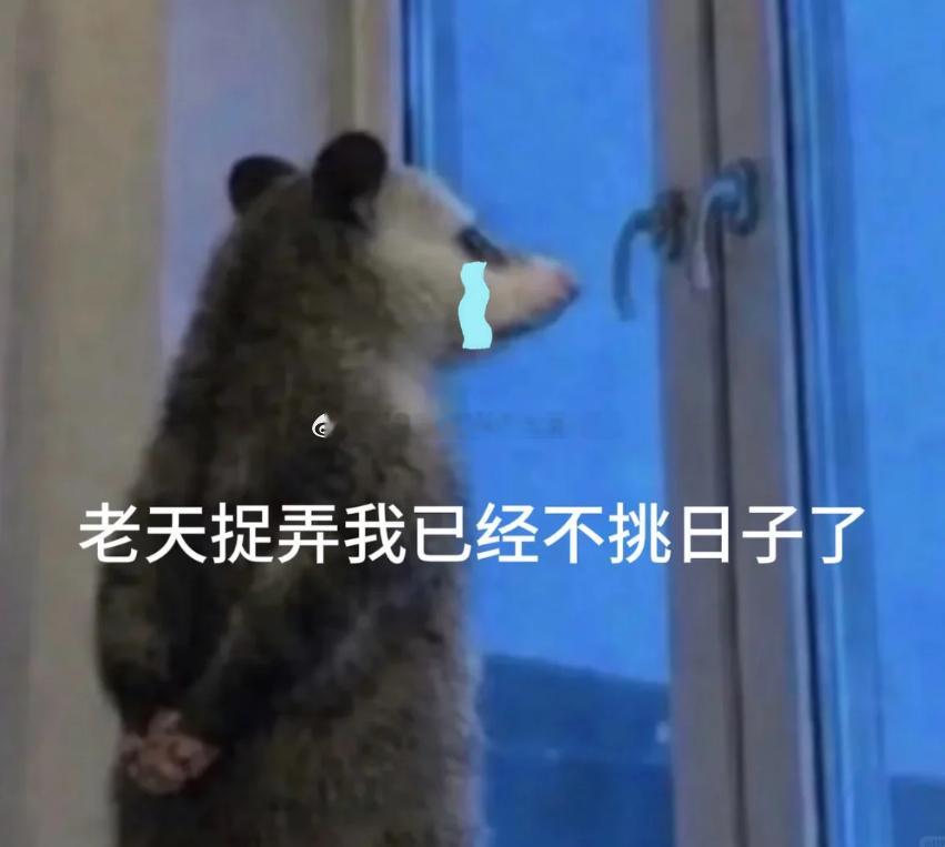 依托 4030 关键阻力顺势布局 4026 空单，行情仅下探至 4019一线便止
