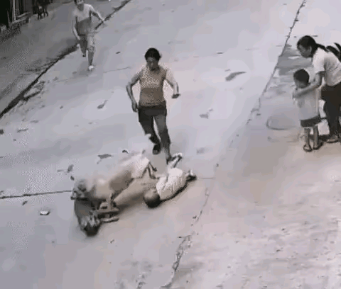 小狗立了一大功
