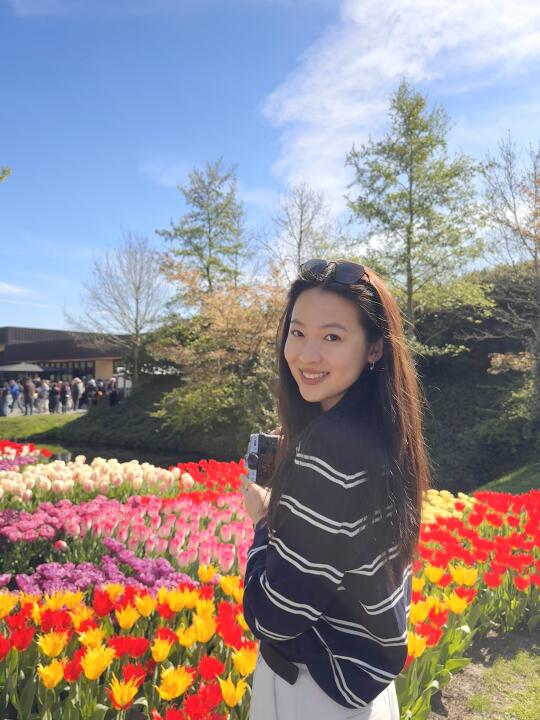 郁金香花海🌷🌷🌷