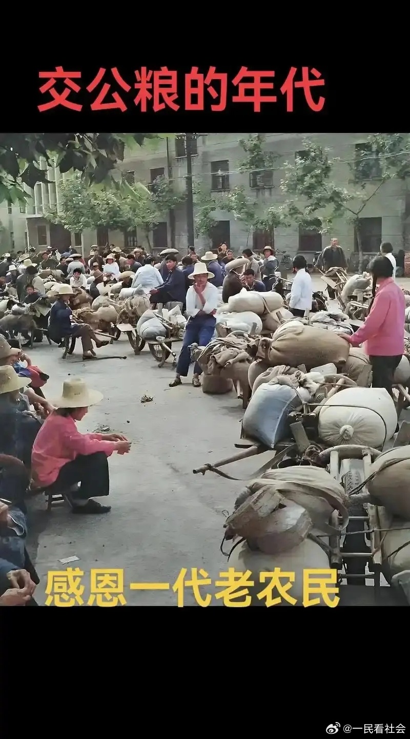 全国人大代表建议将农民养老金逐步提升到每月1000元，但不能搞大锅饭，应首先提高