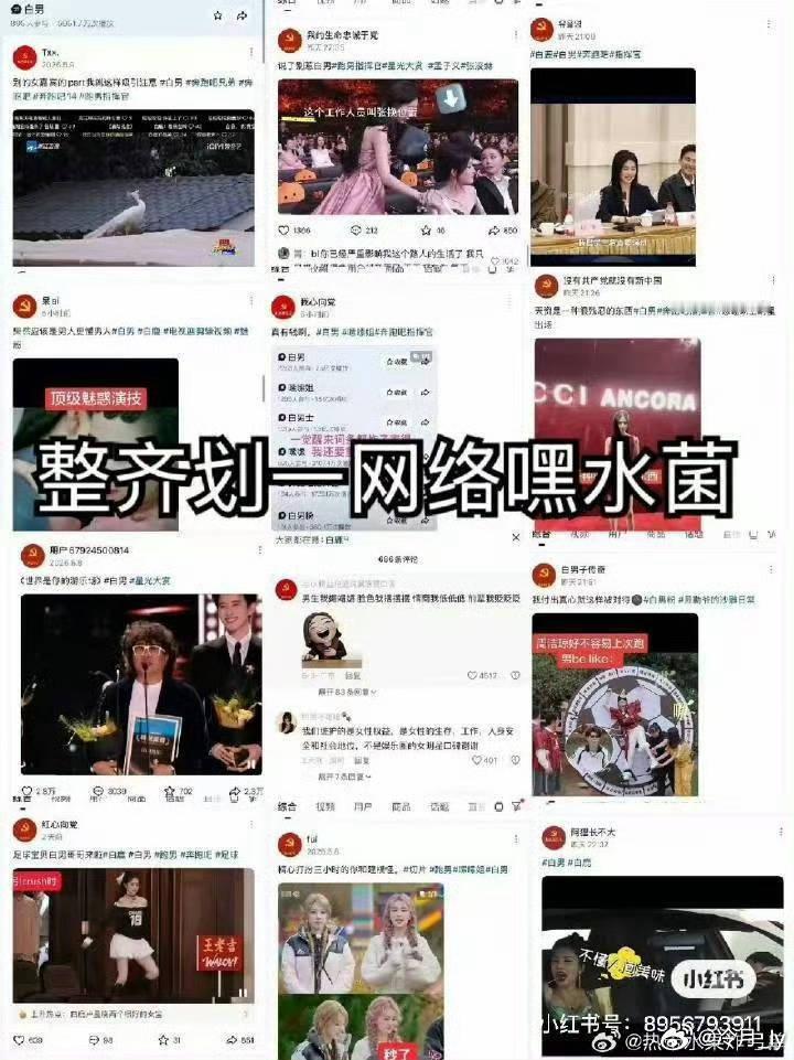 白鹿将全平台告黑这种营销矩阵，背后没有推手是不可能的，黑灰产业的网络水军组织，已