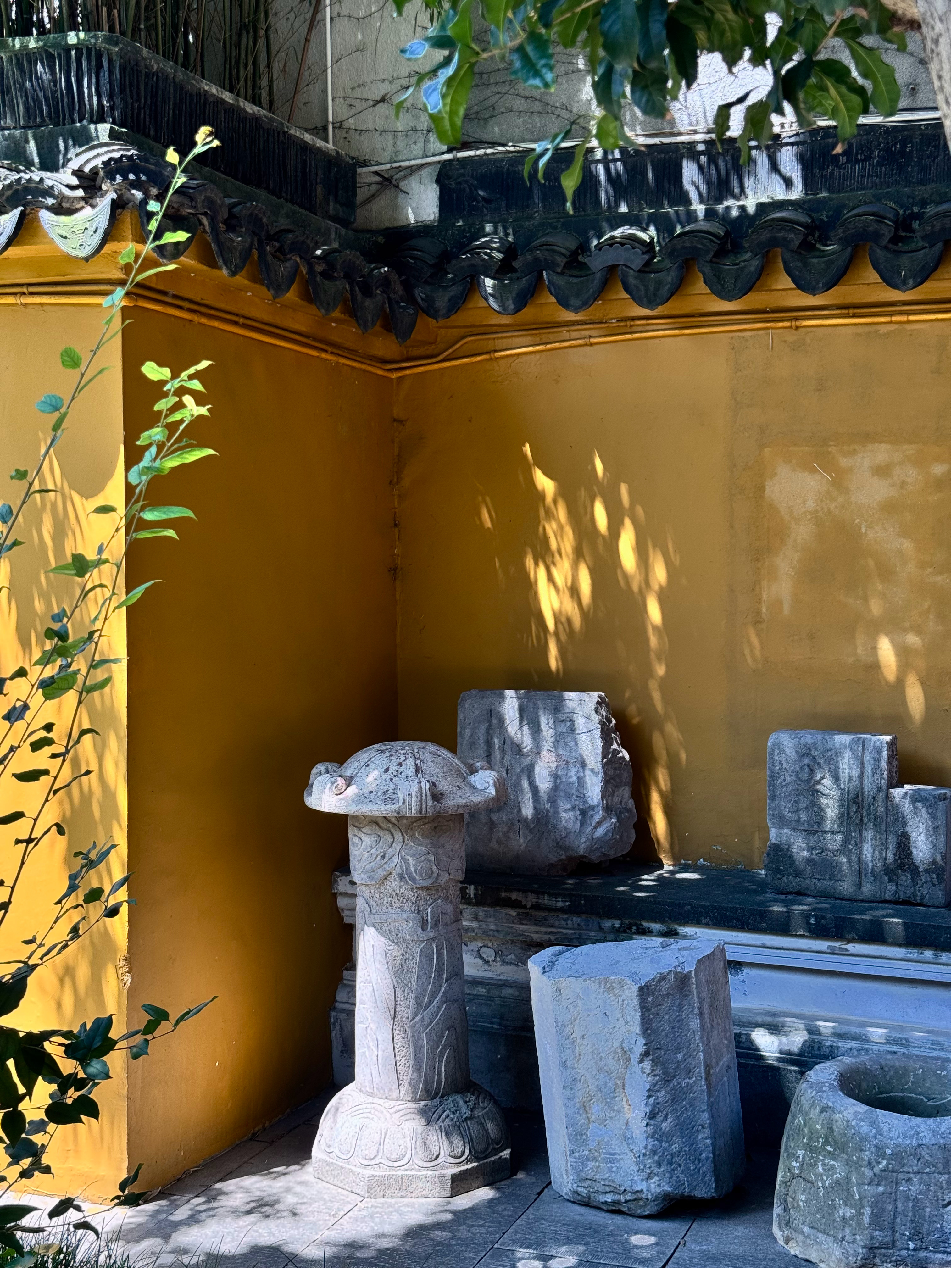 从人潮汹涌的拙政园离开，到定慧寺和双塔转了转，银杏、遗迹，风和阳光、树影，一切都