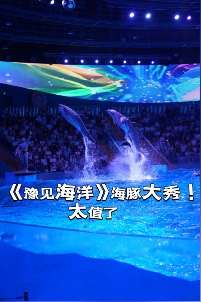 郑州海昌这个海豚大秀，有点东西