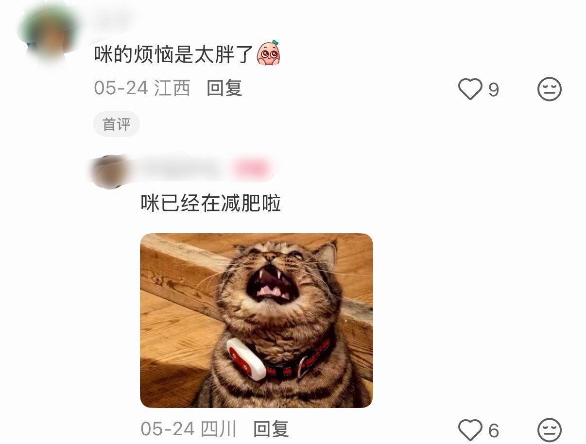 请问咪有什么烦恼