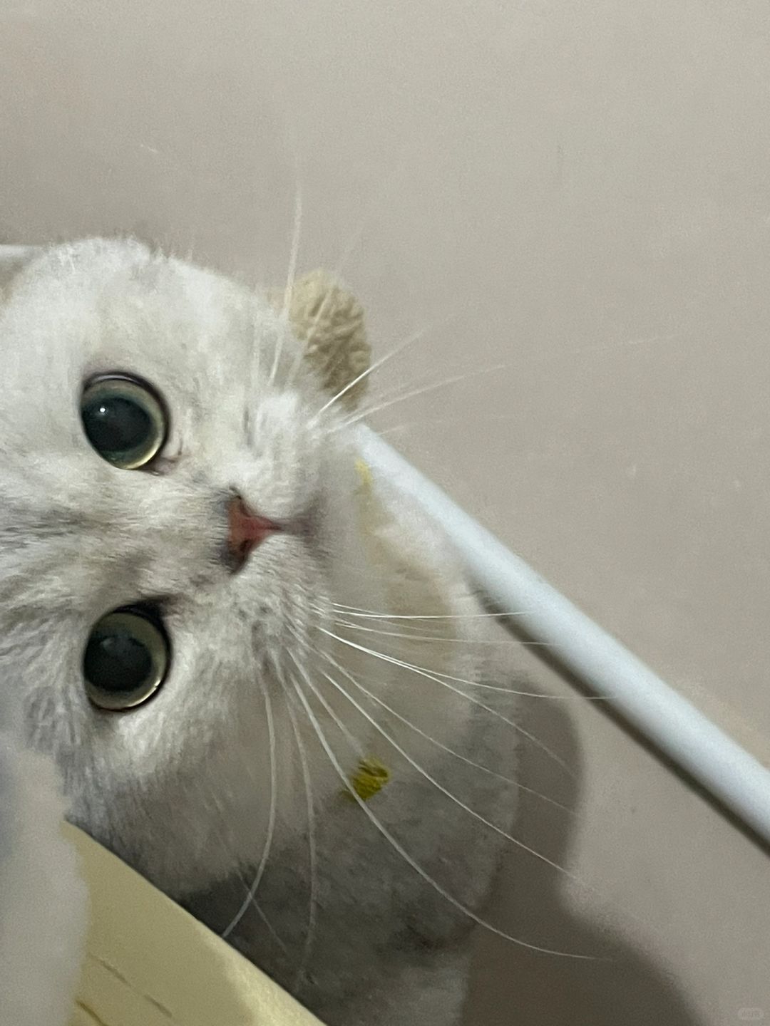 偷看一下🫣