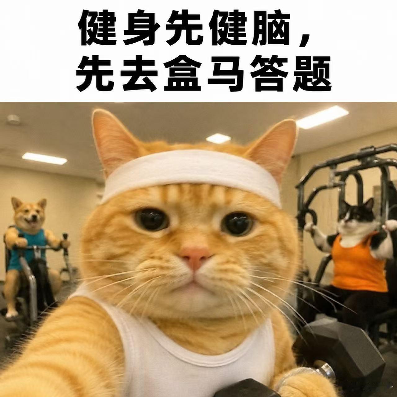 Keep官方为支付宝答题用户避坑 说真的现在很多品牌活动都是走个过场，但支付宝答