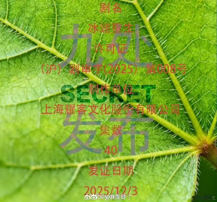 李昀锐 黄杨钿甜 张康乐冰湖重生过审下证了，这部剧看起来还不错，看演员能不能爆出