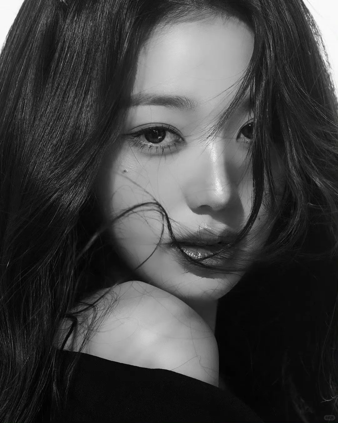 狮子 王女 野心家