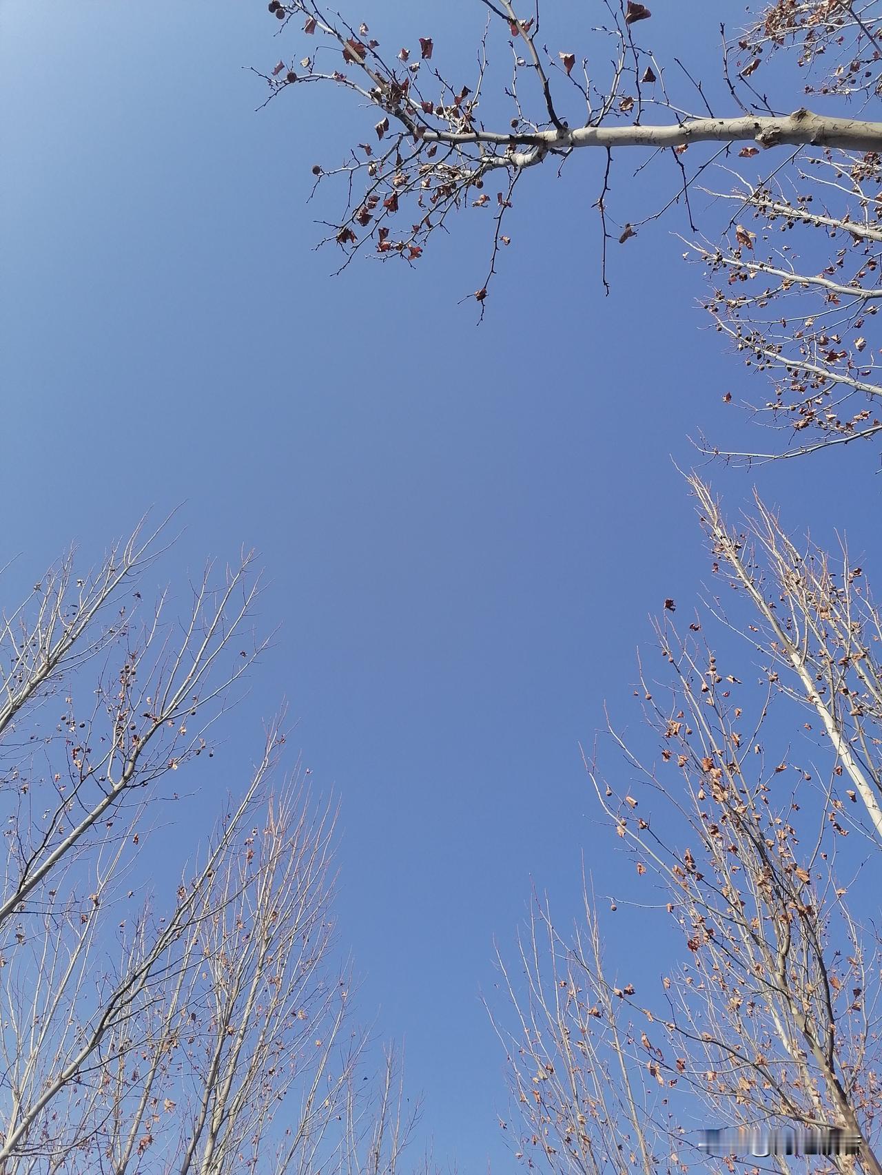 你若拥我入怀，疼我入骨，护我周全；
我愿意蒙上双眼，不去分辩你是人是鬼；
你待我