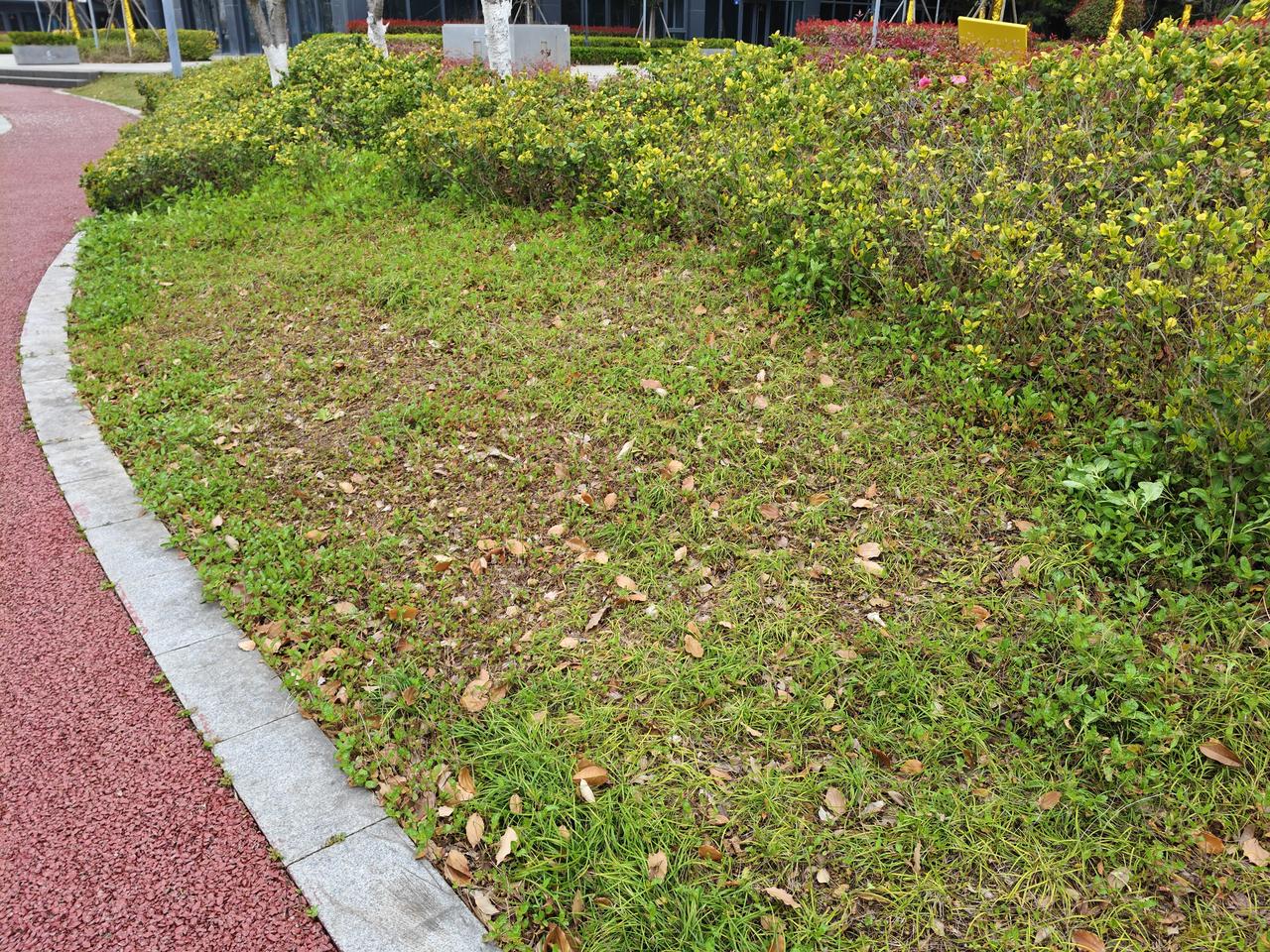 我坚决支持拒绝按套内面积收物业费，更强烈要求取消物业公司！
现在按建筑面积收物业