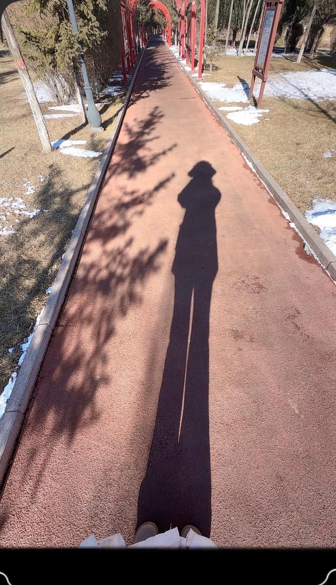 时光跌跌撞撞，季节来来往往，所得，所不得，都不如心安理得。