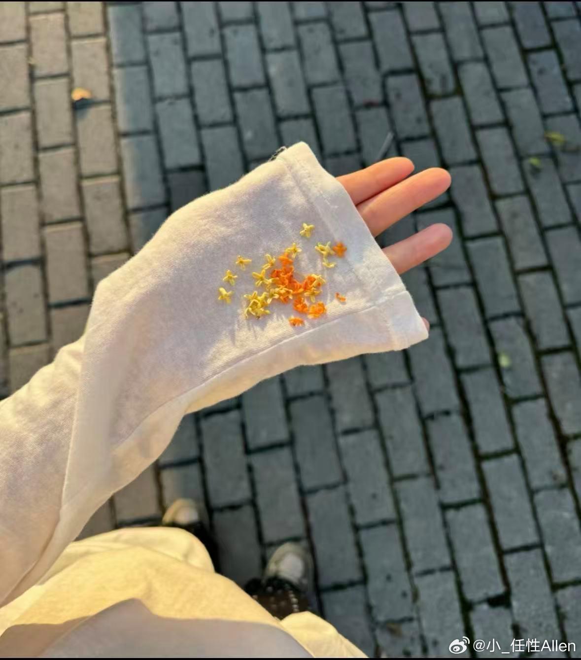 阳光信用[超话] 心若无尘，处处莲开。一念放下，万般自在。花开见佛，叶落归禅。风