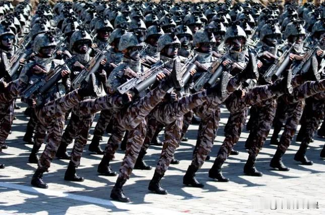 第一次朝鲜特种兵单独行动，战斗力爆表，2.5小时闪电攻击，击杀300名乌军，一举