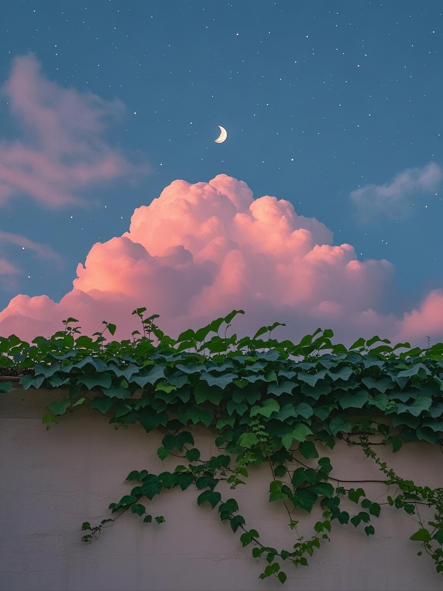 晚安🌛  没有什么比信念更能够带领你走向成功的道路 