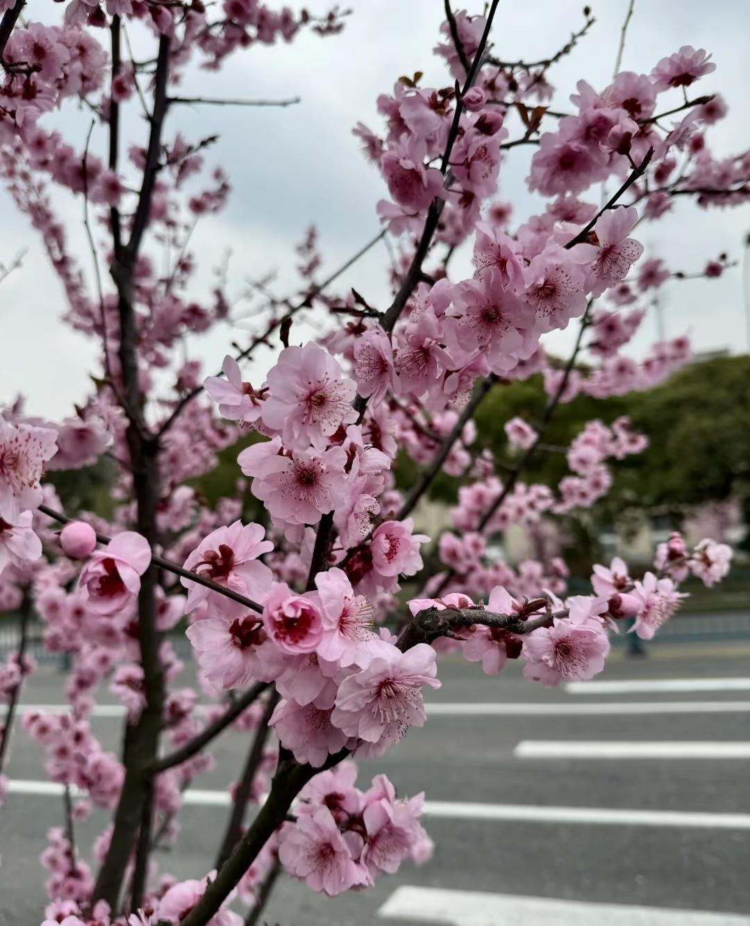 一句醍醐灌顶的话：
“生活坏到一定程度就会好起来，因为它无法更坏。努力过后，才知