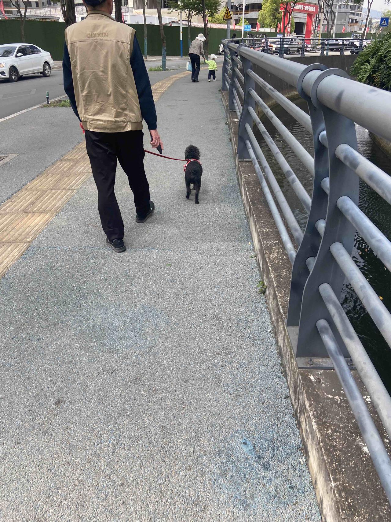 下午跑步总能看到不少有趣的人和事，早上跑步人少还都很匆忙，晚上视线不好，也不好拍