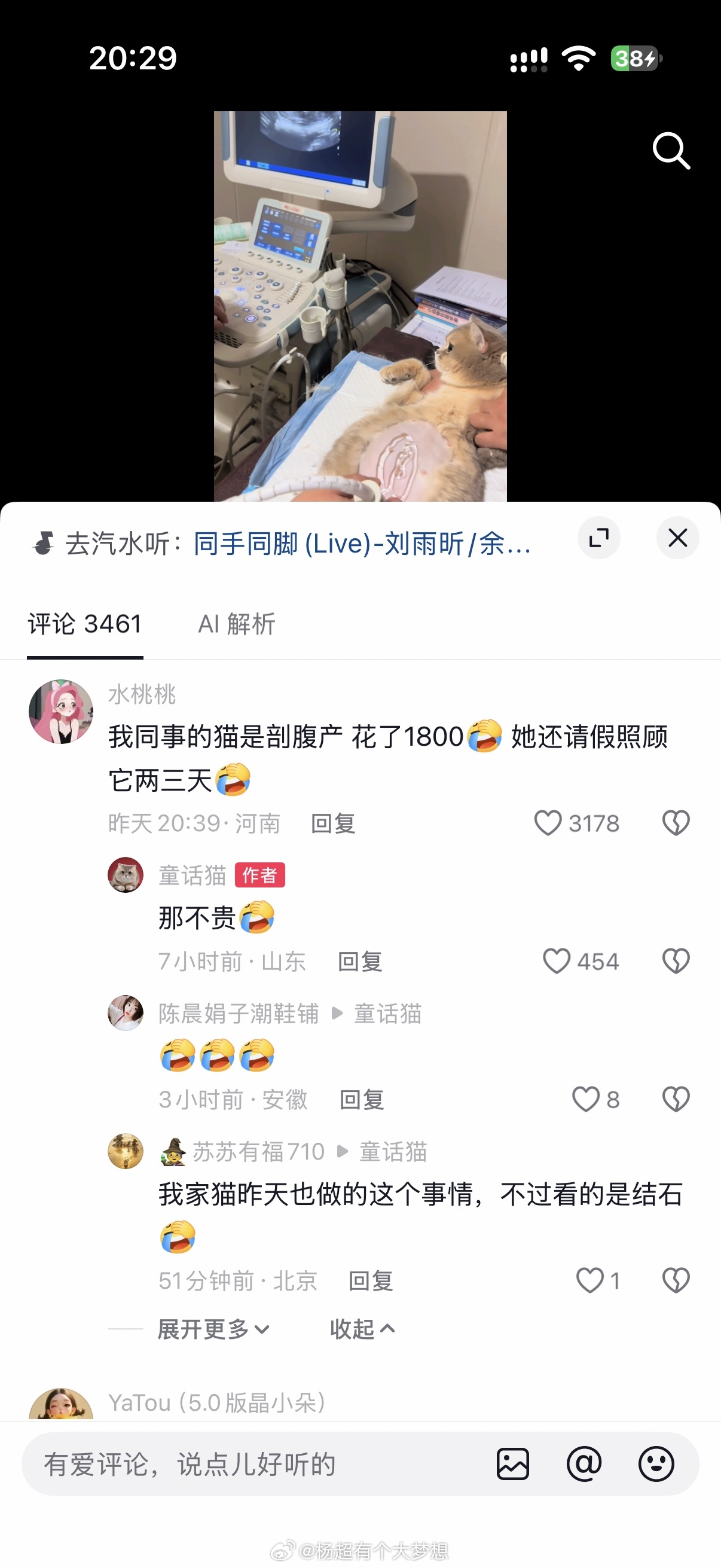 才知道宠物医院下崽比人生孩子还贵[允悲] ​​​