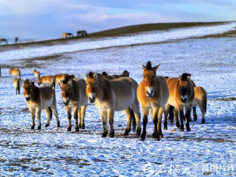 【人到中年，终会明白，社交的本质，是互相滋养，而不是彼此消
耗】
       
