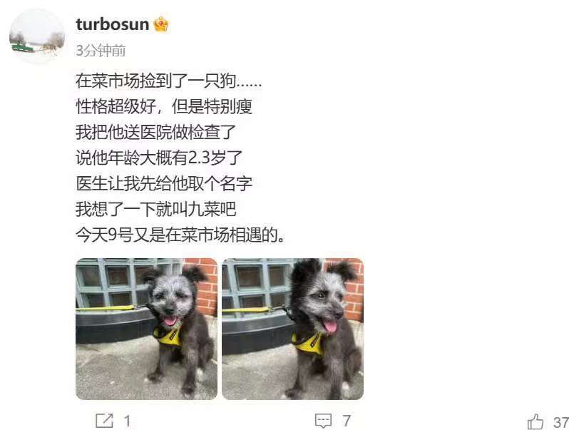 孙俪菜市场捡狗孙俪捡狗取名九菜孙俪菜市场捡狗，好好啊，[good] ​​​