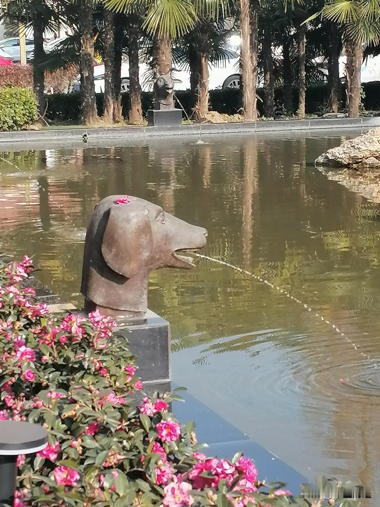 俗话说狗嘴里吐不出象牙，但看看眼前的场景，狗嘴里确实能够吐出来水的！