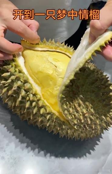 这榴莲怎么还住上单间了 逛市场发现榴莲都安排上独立单间了，这待遇，妥妥的专属VI