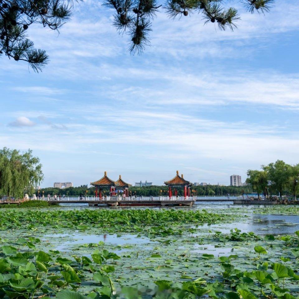 早安！八月来了，老话都说逢八必发，所以啊～祝你的八月一定发！ 长春