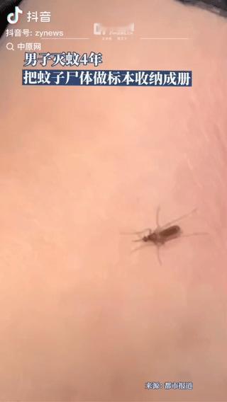 “太不可思议了！”广东一男子忽觉脸上刺痒，拿手机一照发现一只蚊子正叮在脸上肆意吸