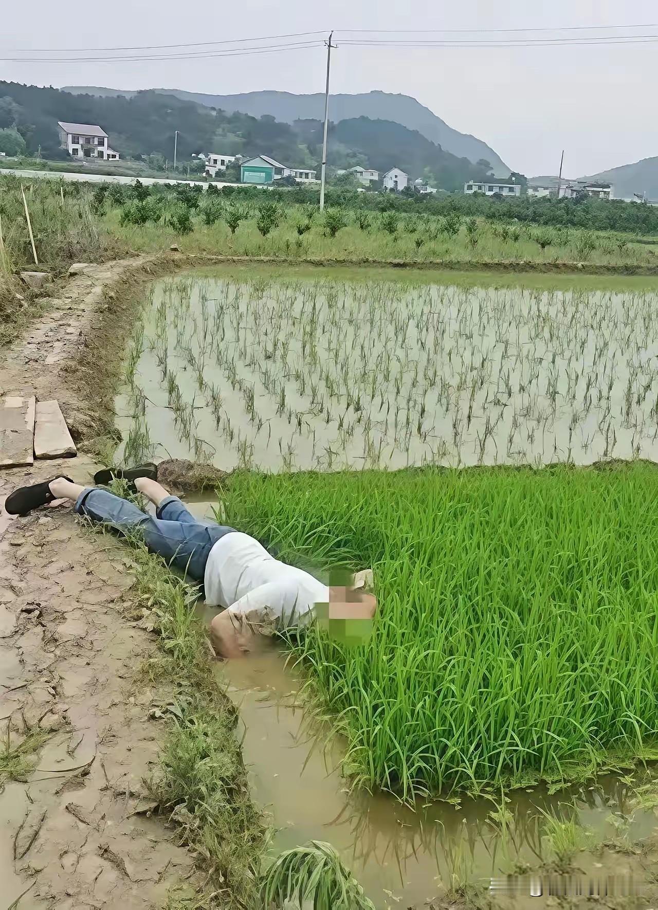“并非谁死谁有理！”四川成都，一七旬大爷晨练时在稻田边洗手，不慎滑倒溺亡，家属将