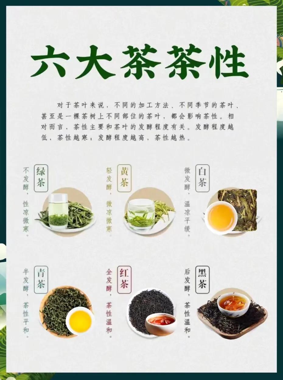 图解六大茶类，一看便知，建议收藏
