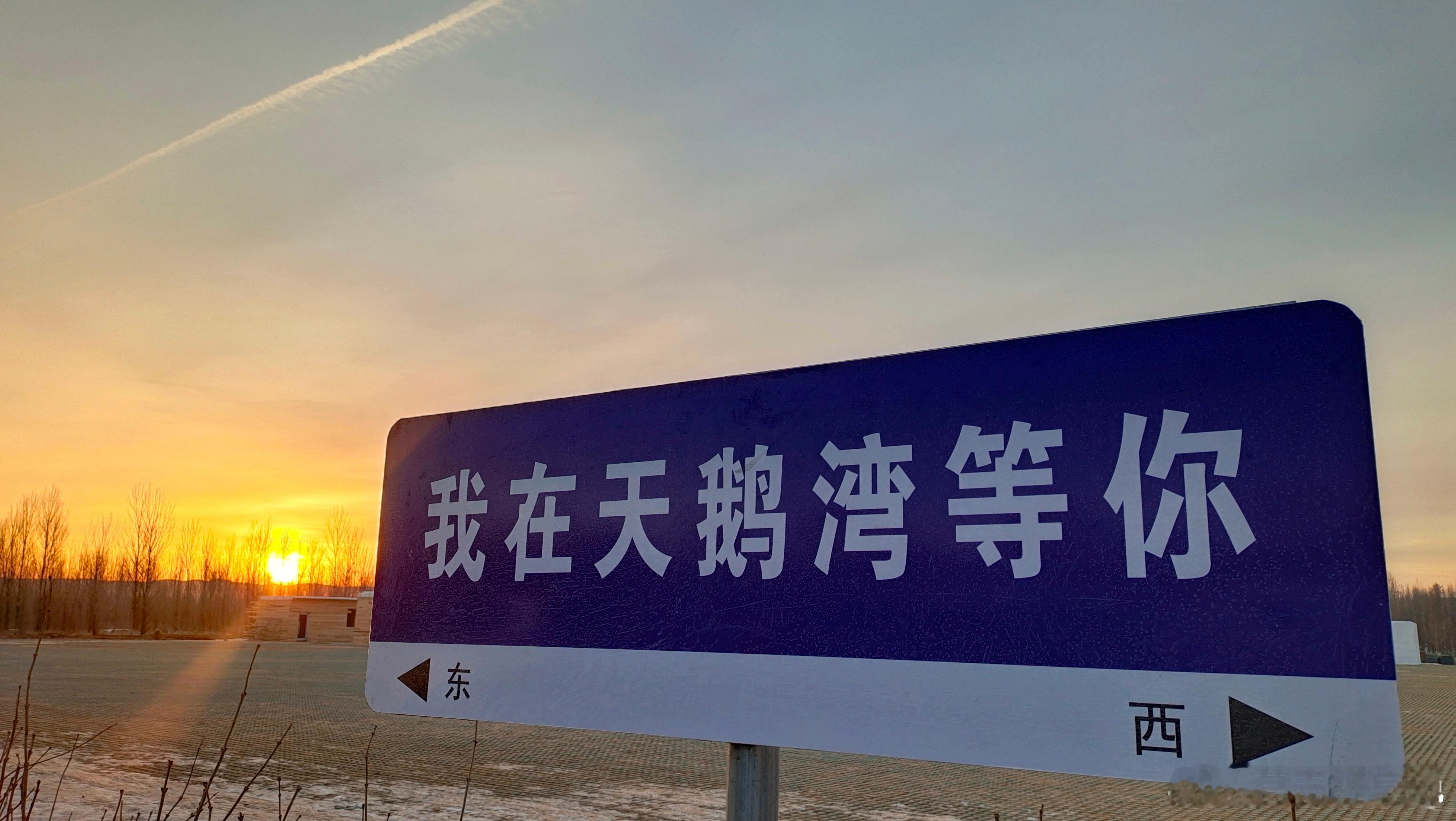 #尔滨有一片橘子味的钻石海#橘子味的钻石海还没去，看了橙子味的天鹅湖，我有点去晚