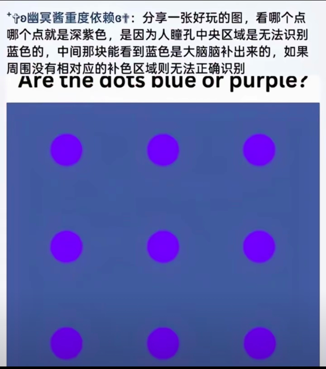 真的诶 看哪个点哪个就变成紫色了
