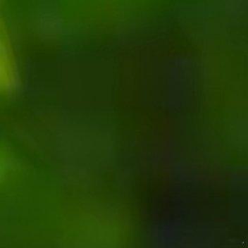 半山腰总是最挤的，你得去山顶看看，那里风光独好。 