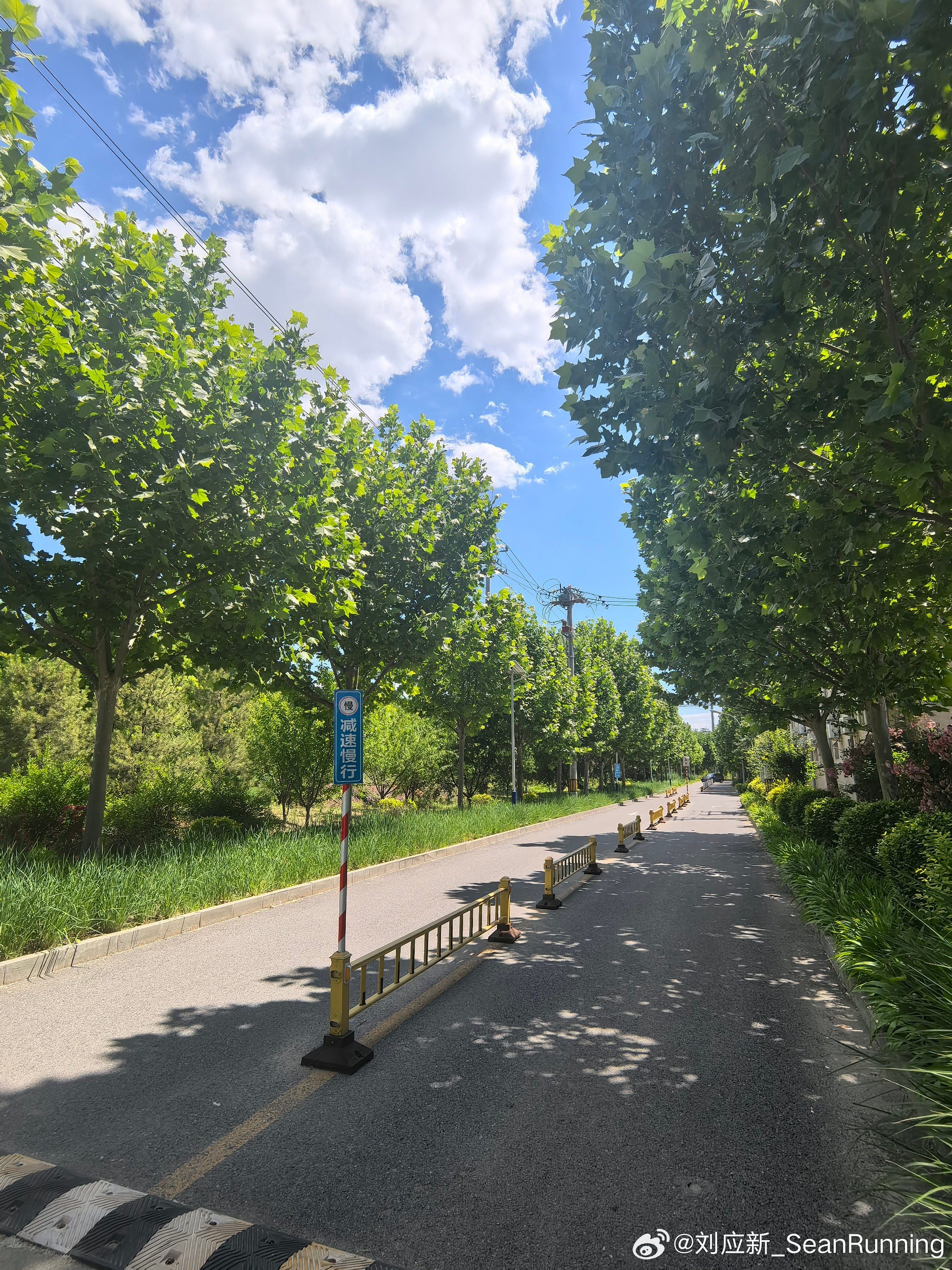 仰望蓝天是最好的能量交换☀ 