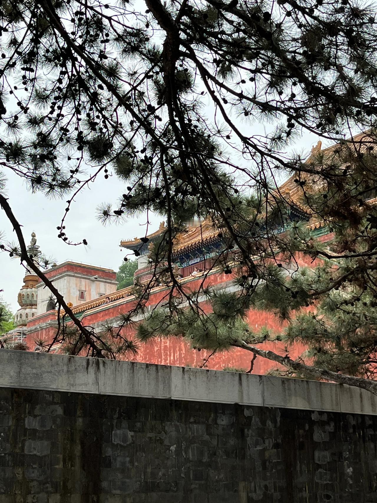 颐和园的游人可真不少。原是清朝的皇家园林，标志景点是万寿山、昆明湖。曾被八国联军