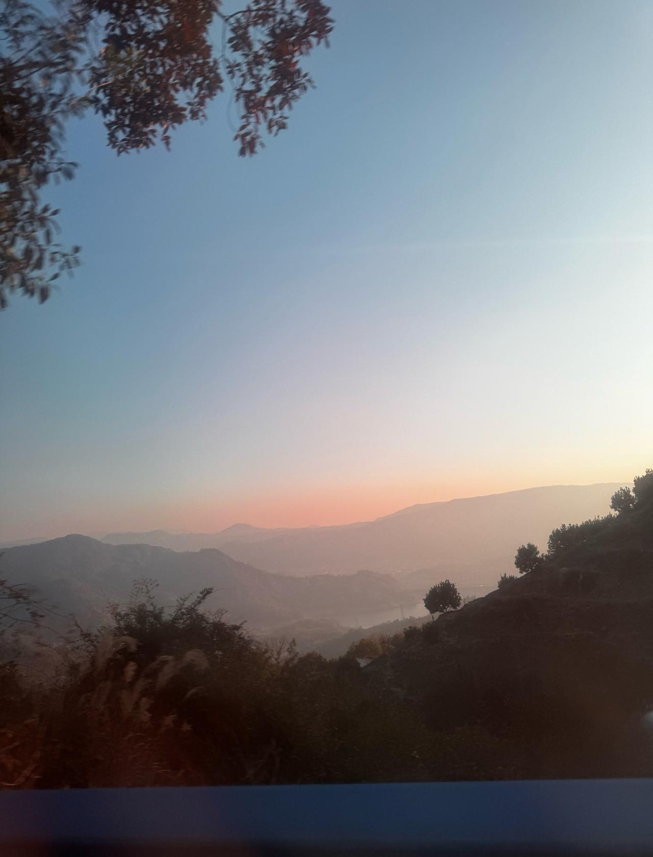 宠物友好胜地！！游玩秘籍！！
📍温州 玉苍山国家森林公园
我的必玩心愿是！！