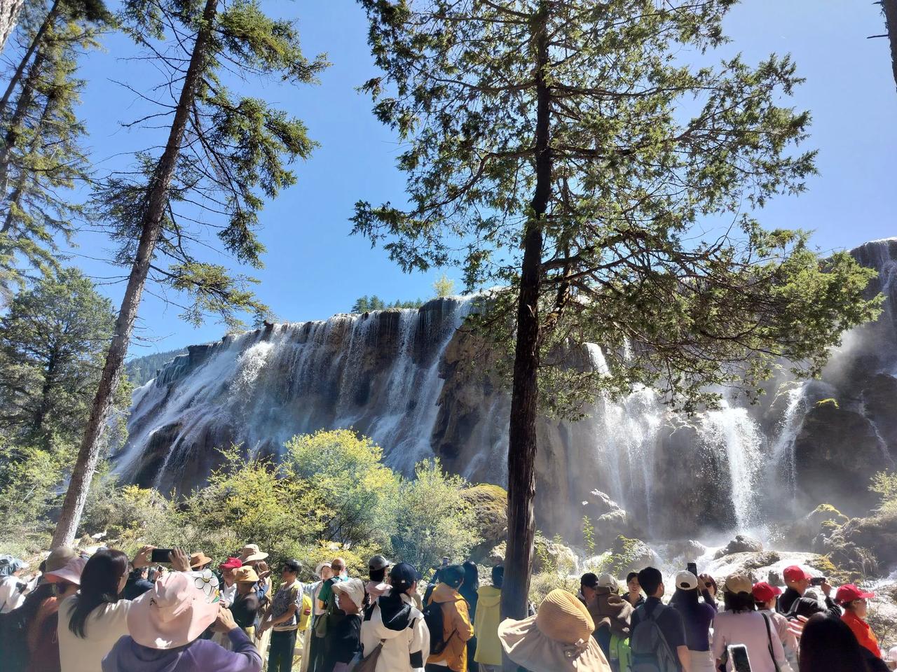 今年春天最想实现的心愿明天中大乐透一等奖