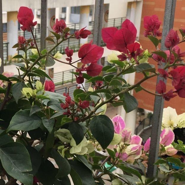 什么样的家庭氛围能培养出开朗的孩子温暖包容、平等沟通的家庭最养开朗孩童。父母遇事