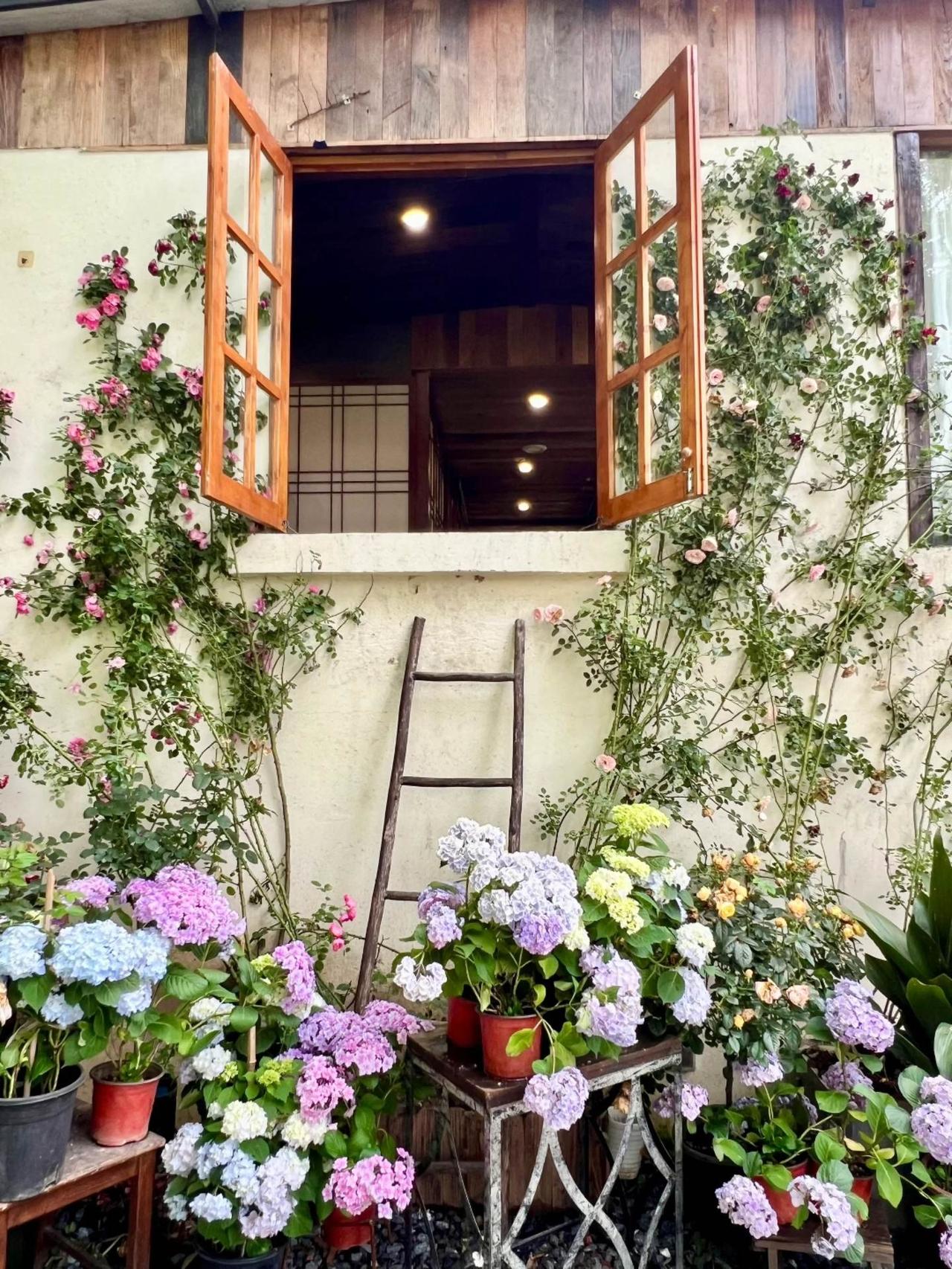 #旅行推荐官 #周末去哪玩 #远离城市的喧嚣 #清凉避暑好去处 #周边游