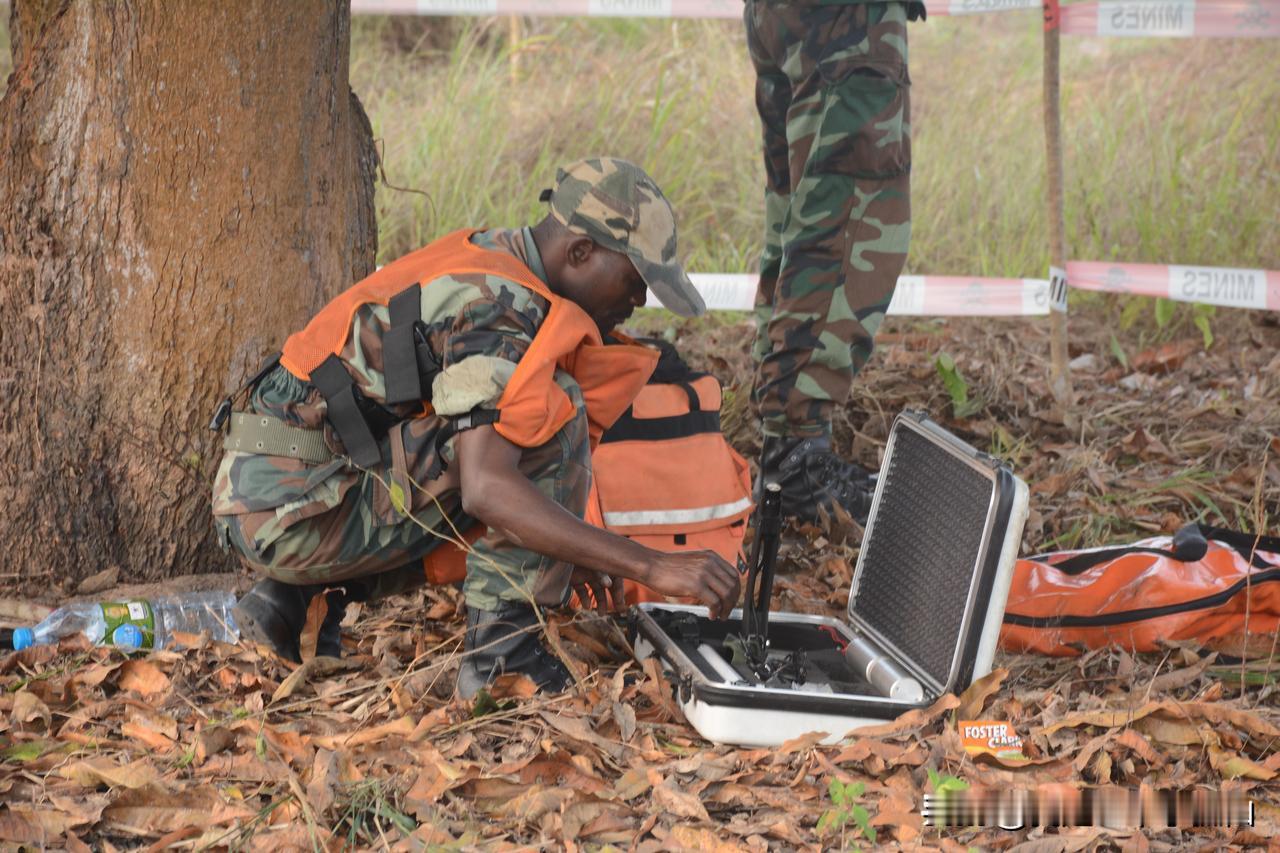 #哪些吃的，非洲贵，国内便宜#
大白菜，国内经常说的白菜价是形容物价便宜的意思，