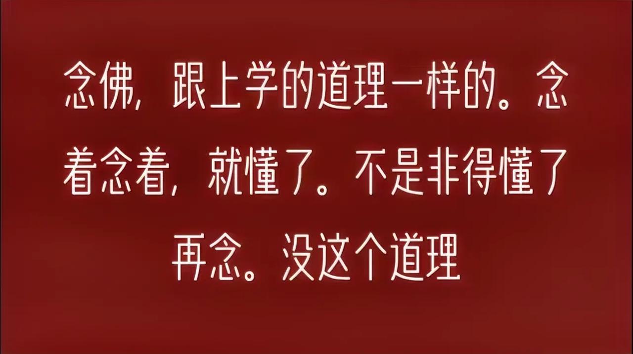 我也坚信，慢慢就懂了，现在念可能不知其中意，念着念着就会懂的。