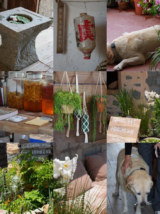 一家特别的店～