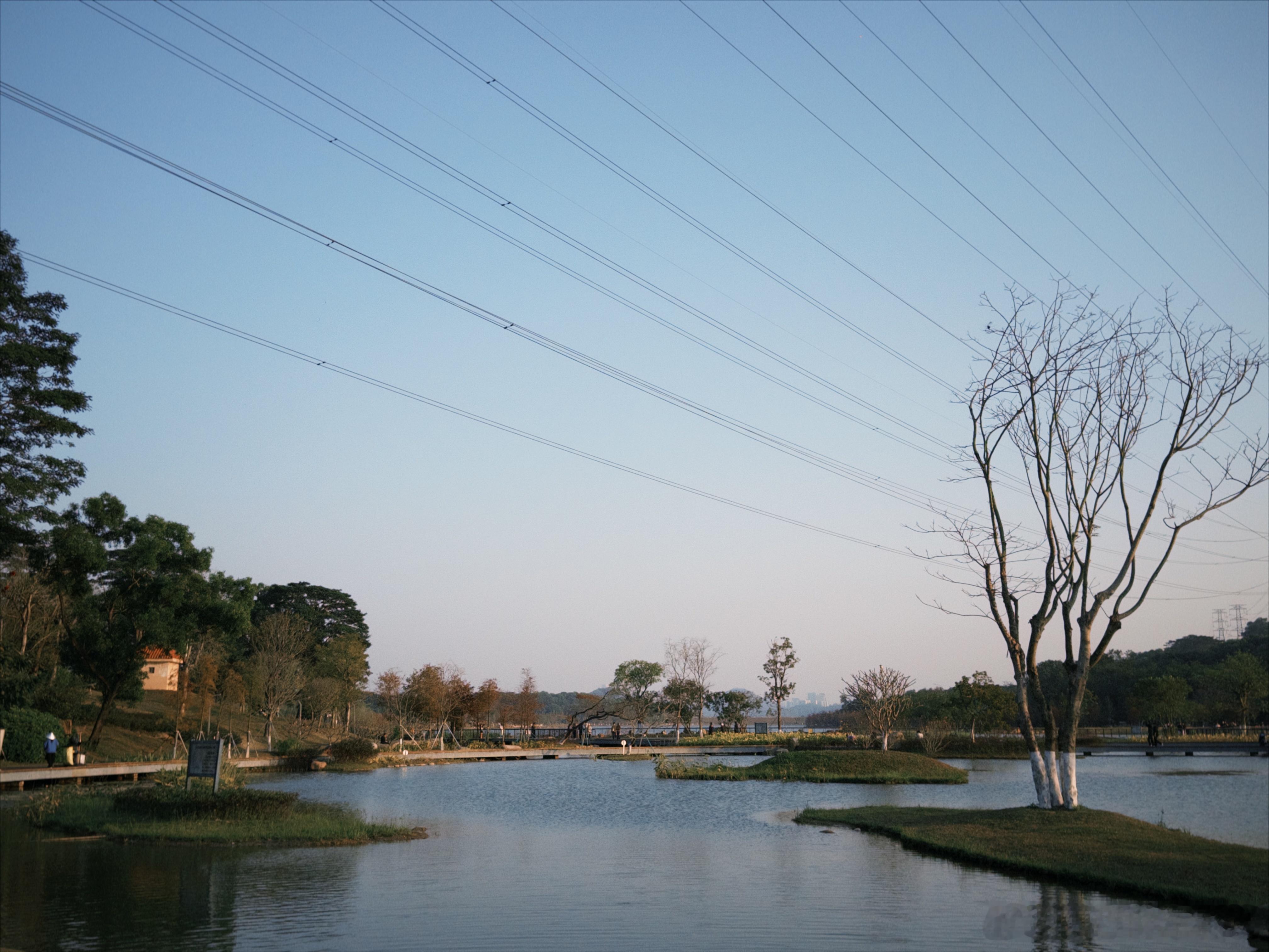 第一次来九围湿地公园刚好在日落时分 非常舒适除了停车麻烦 环境是真的漂亮这几年全