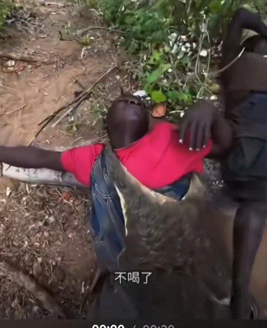 笑不活了！中国男子请四名非洲小伙喝52度的牛栏山白酒，本以为非洲小伙品尝一口后则