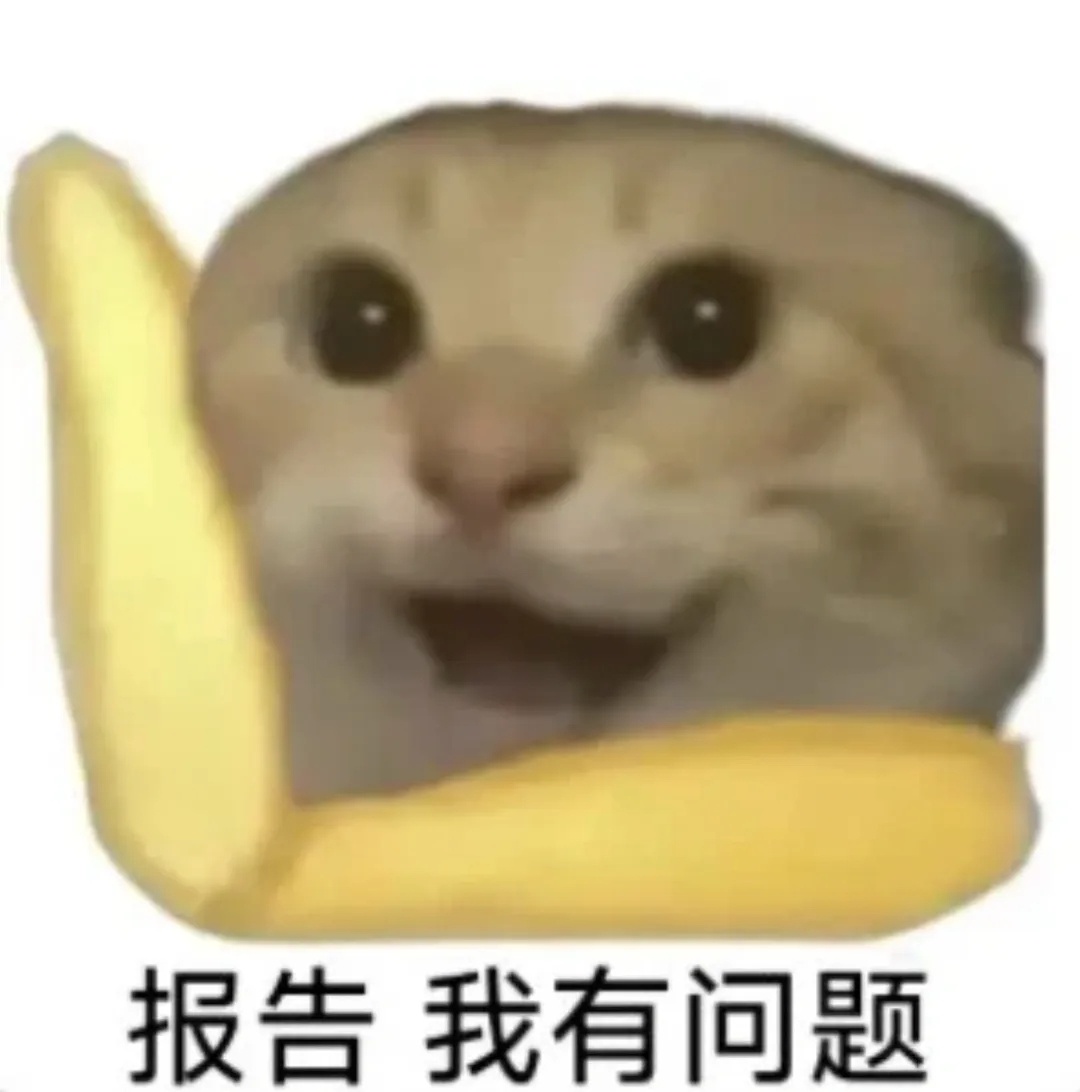 一进会议室，K系列架构大佬一眼抓住我，就问我，诶你微博是不是笋竹啊，我关注你啦！