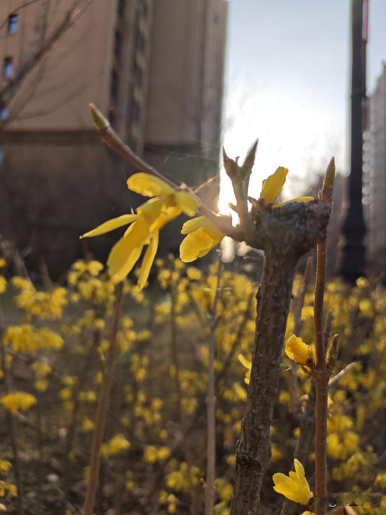 谁的人生还没个低谷呢？别因为一时不顺就把自己困在死胡同里，也别因为眼下的难，就觉