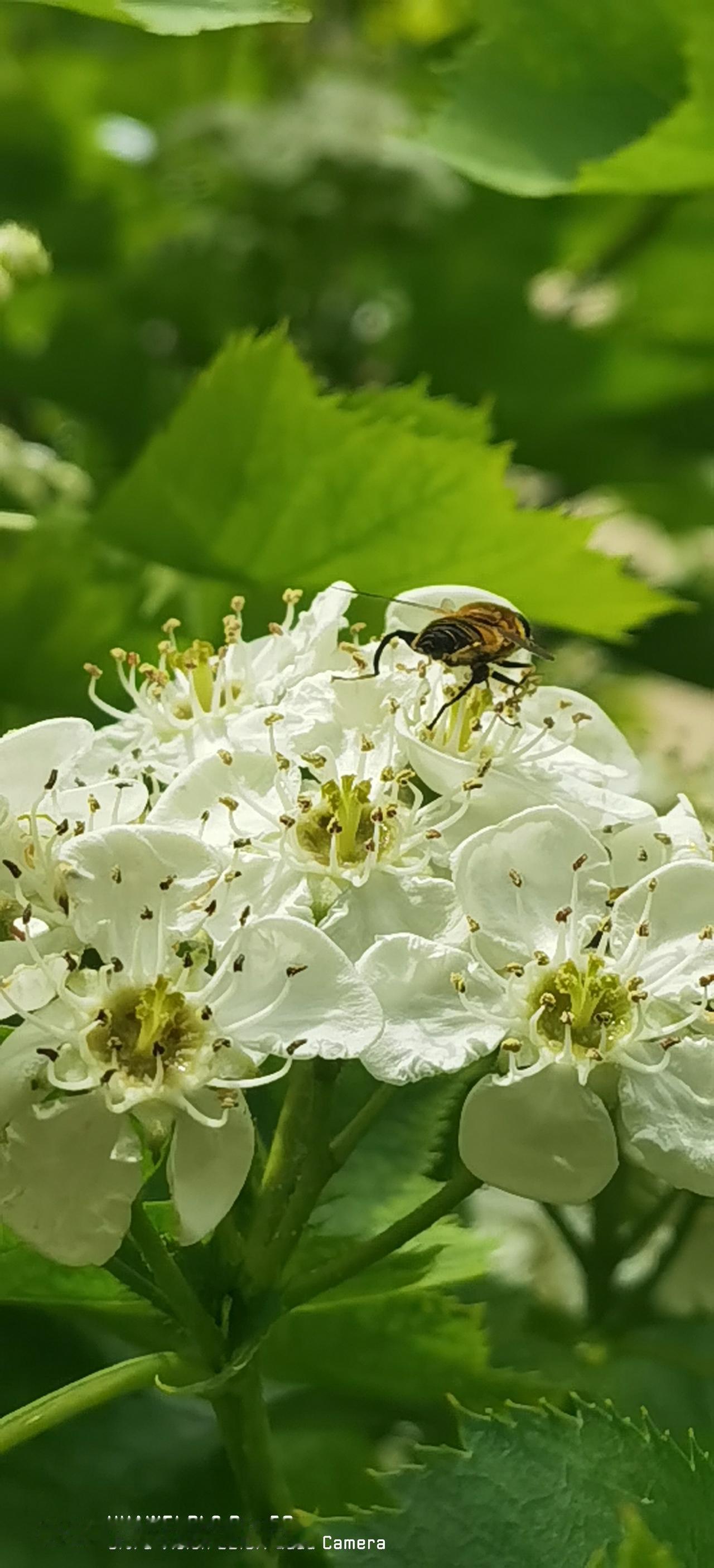 聪明的人，会选择顺势而为，绝不会放着河水不洗船。借势，从来都不是投机取巧，而是清