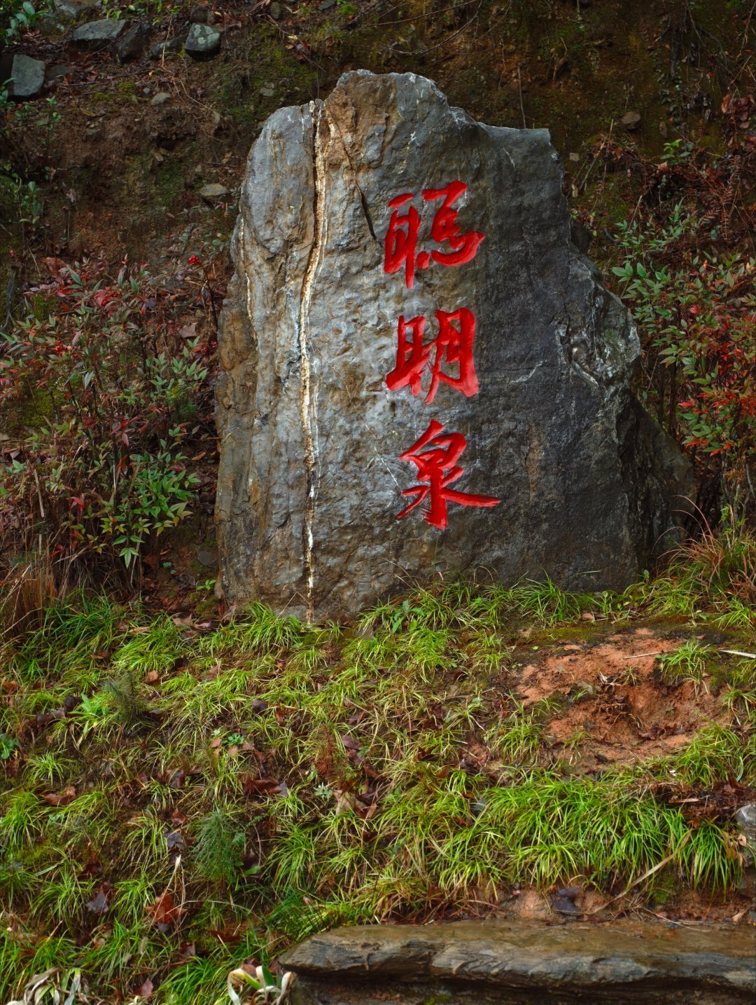 聪明泉增……慧 