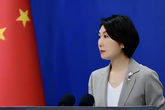 闹剧上演！14国跟风炒作南海仲裁，立陶宛双面投机翻车，想两头吃红利
 
十年前的