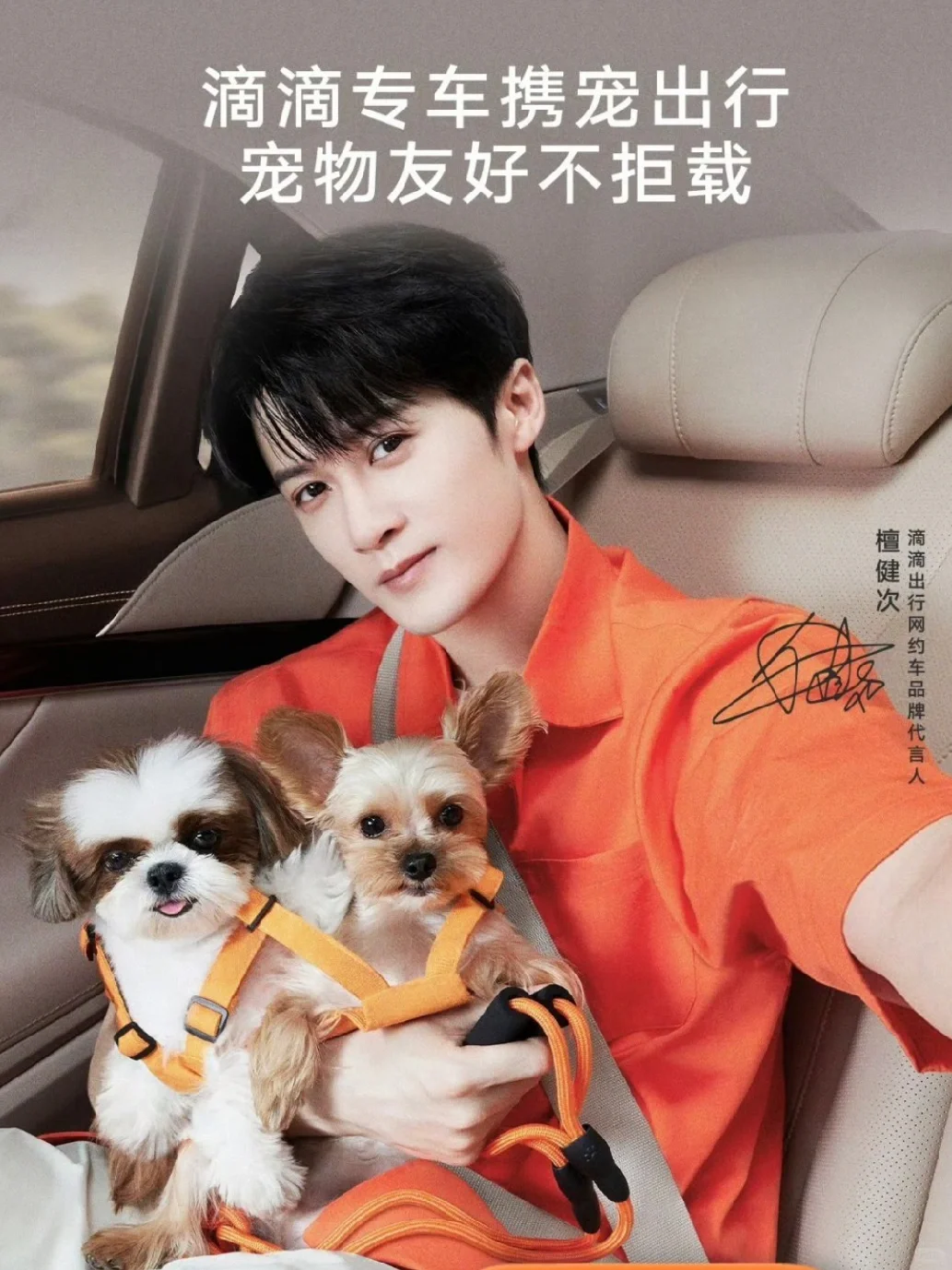 好久不见俩大儿🐶